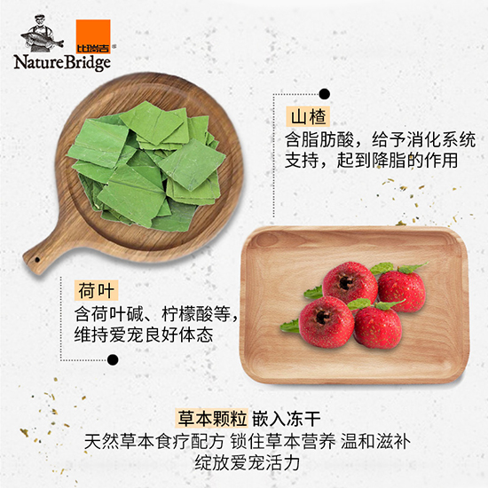 比瑞吉優選全價成年期貓糧（室內）