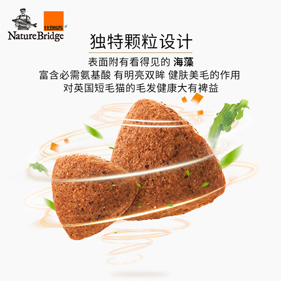 比瑞吉優選全價英國短毛貓成年期貓糧