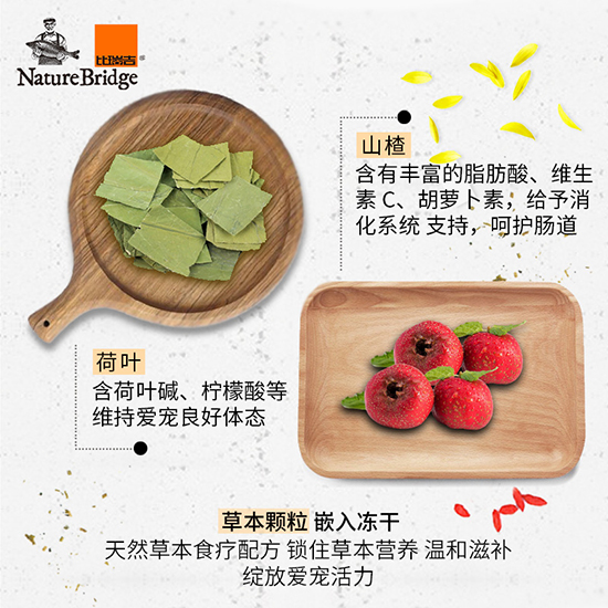 比瑞吉優(yōu)選全價美國短毛貓成年期貓糧